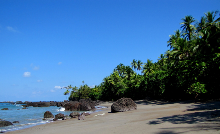 Forest meets the Pacific coast in Corcovado National Park
