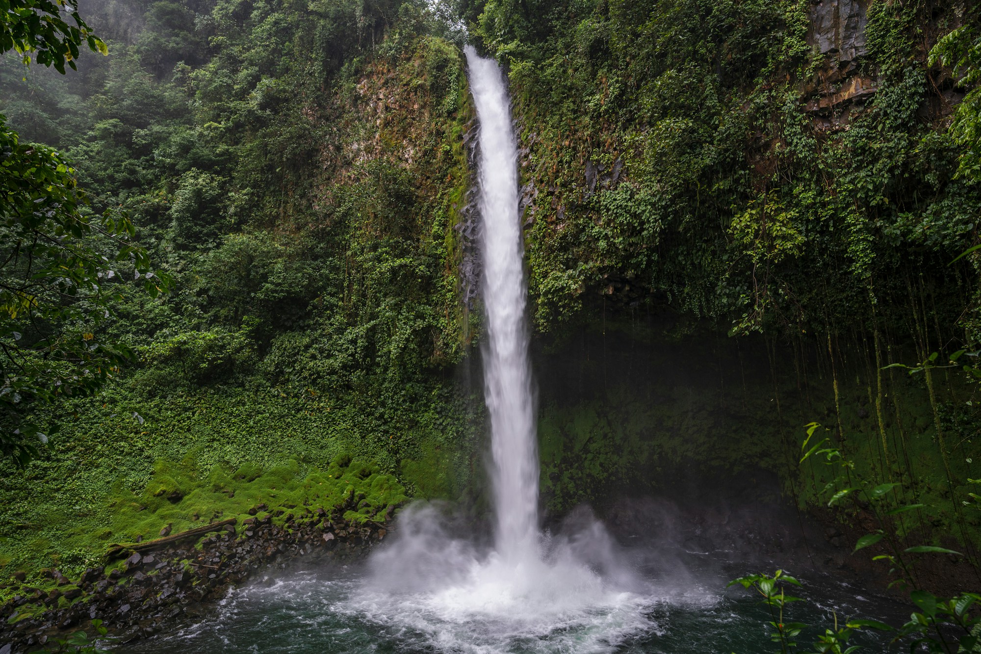 La Fortuna Waterfall plunging into a rainforest canyon