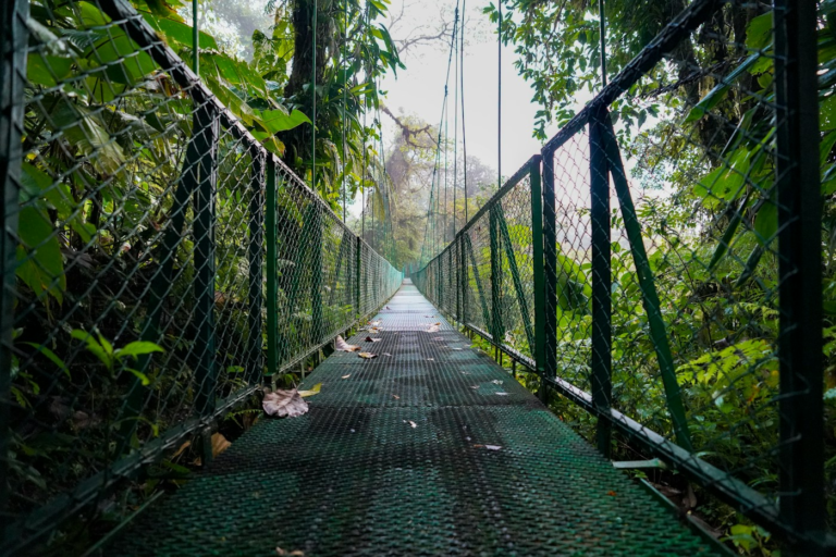 Hanging bridge through the forest in La Fortuna