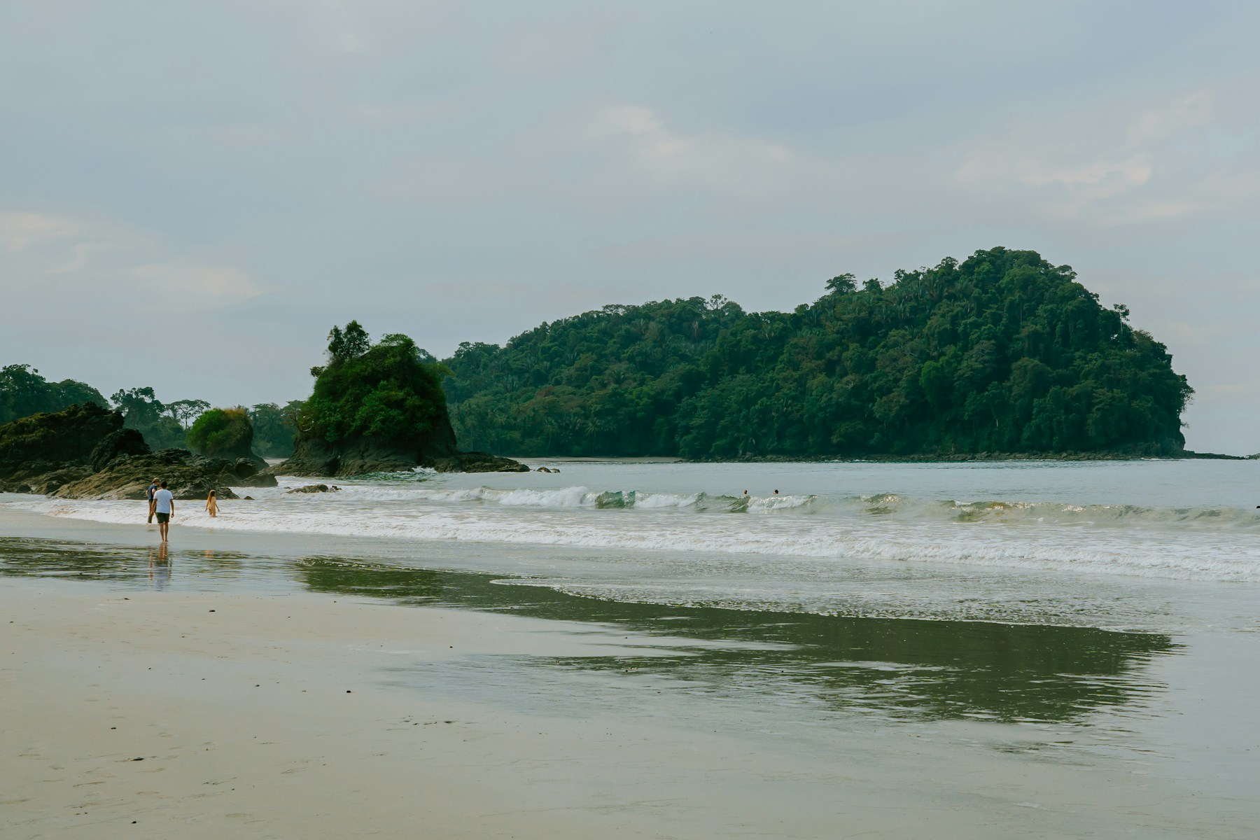 A forested Pacific shoreline with people walking beside the water; coastal scenery illustration