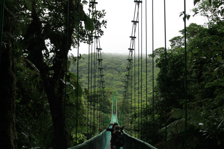 Hanging bridge among the trees near Monteverde