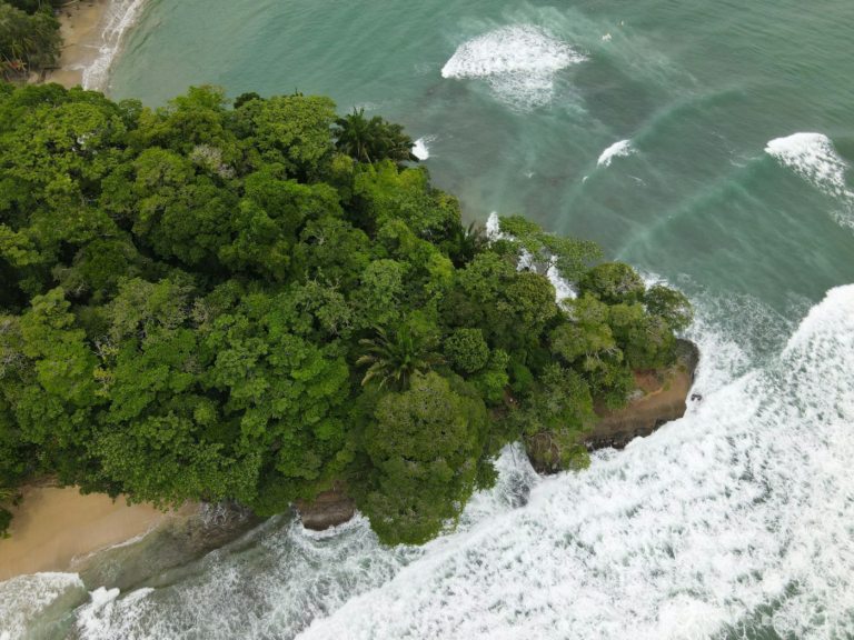 Aerial view of the coast at Punta Uva