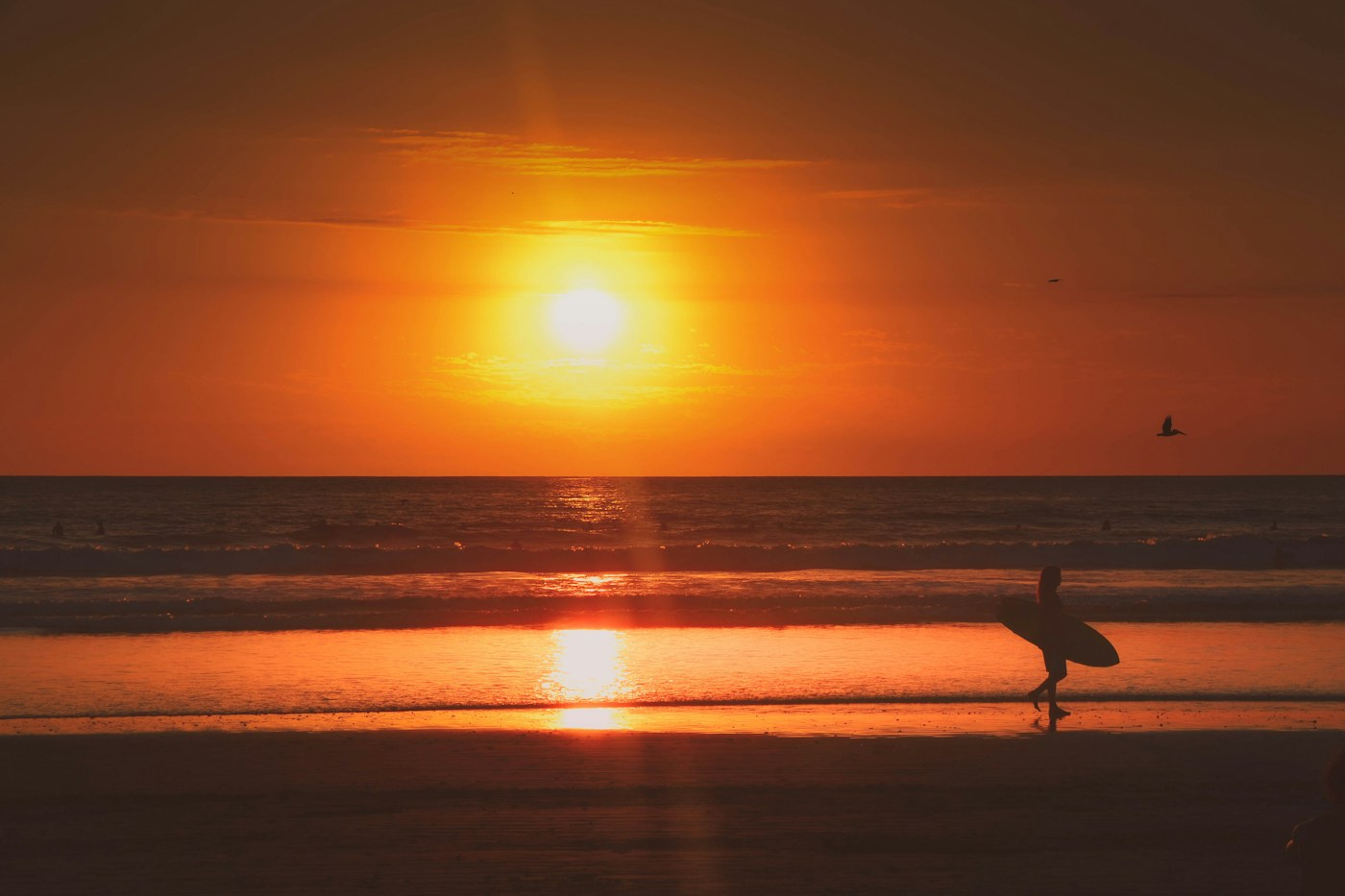 Surfer carrying a board beside a brilliant golden sunset