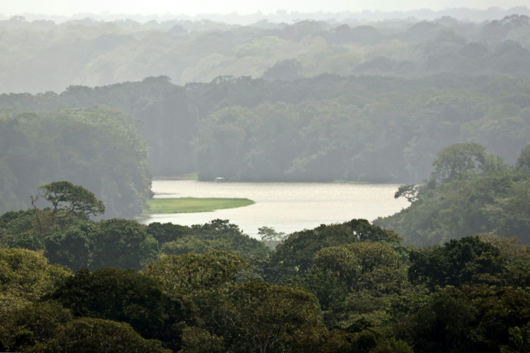 Rainforest and waterways viewed from Cerro Tortuguero