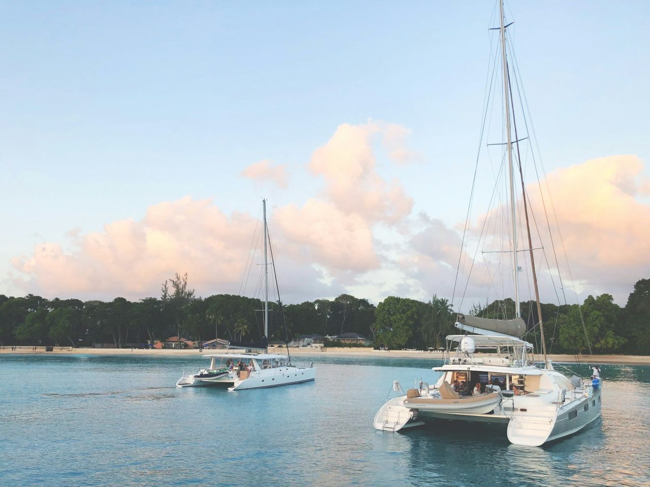 Catamarans anchored beside a palm-lined tropical beach